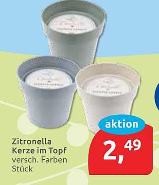 Zitronella Kerze im Topf - verschiedene Farben