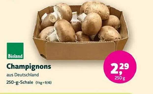 Champignons aus Deutschland