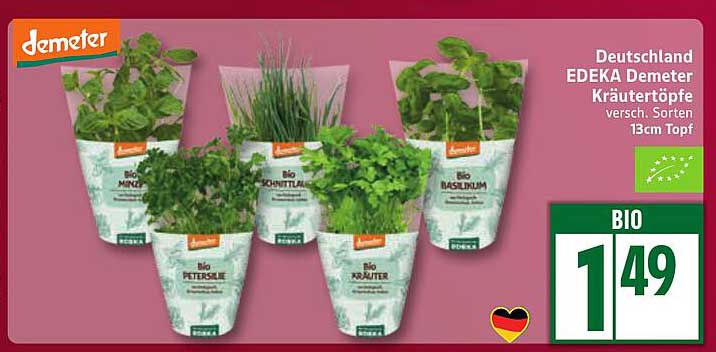 EDEKA Demeter Kräutertöpfe – verschiedene Sorten 13cm Topf