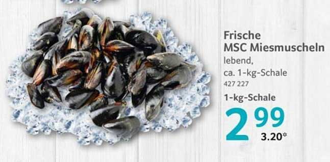 Frische MSC Miesmuscheln lebend, ca. 1-kg-Schale