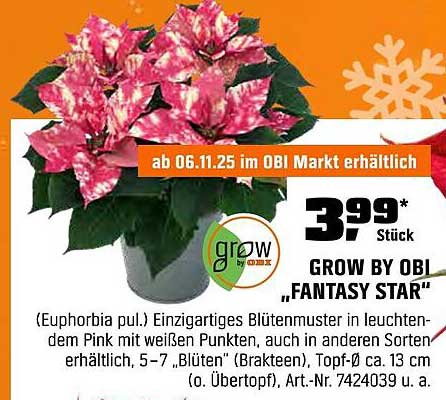 GROW BY OBI 'FANTASY STAR'