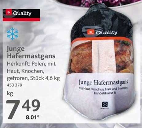 Junge Hafermastgans, gefroren, Stück 4,6 kg