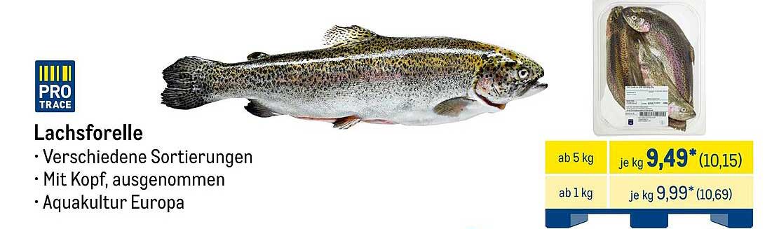 Lachsforelle - Verschiedene Sortierungen, Mit Kopf, ausgenommen, Aquakultur Europa