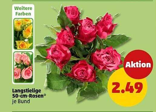 Langstielige 50-cm-Rosen je Bund