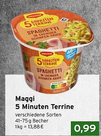 Maggi 5 Minuten Terrine Spaghetti in cremiger Schinken-Sauce