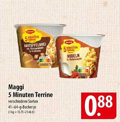 Maggi 5 Minuten Terrine - verschiedene Sorten