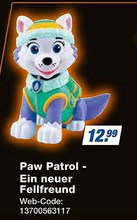 Paw Patrol - Ein neuer Fellfreund