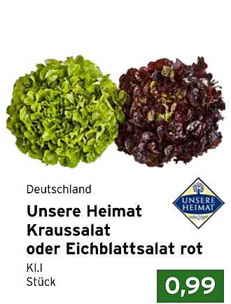 Unsere Heimat Kraussalat oder Eichblattsalat rot