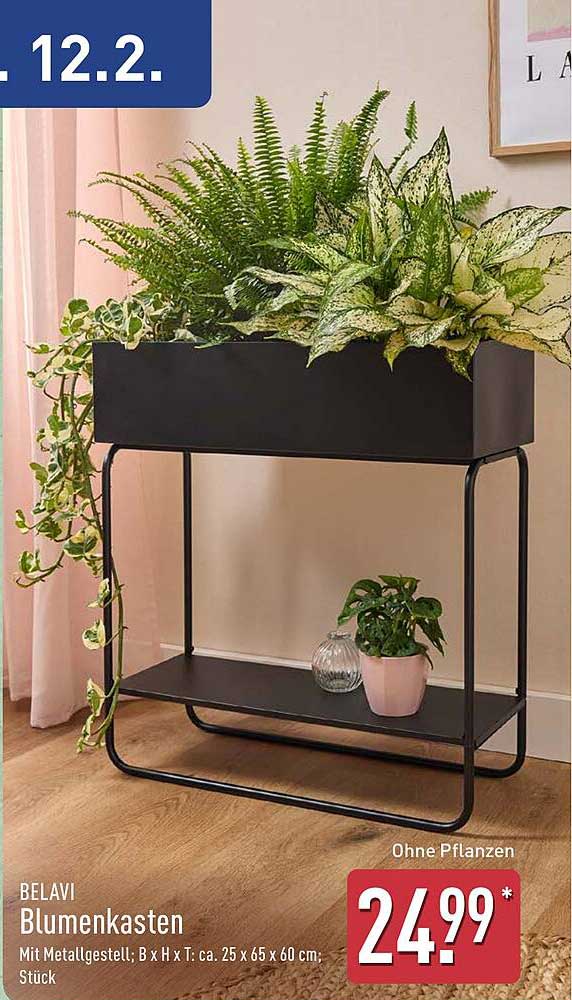 Stilvolle Gelnder Blumenkasten Aldi Ebenbild