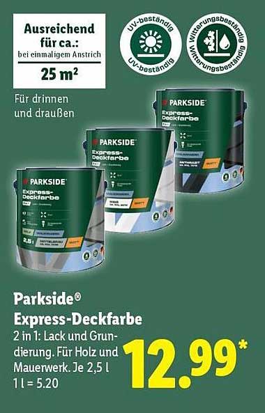 Stilvolle Parkside Express Deckfarbe Ebenbildnull