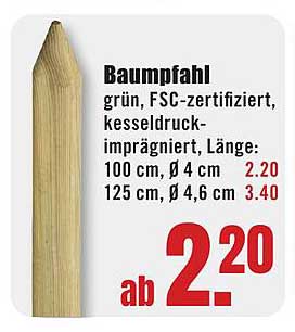 Baumpfahl - grün, FSC-zertifiziert, kesseldruckimprägnierte Qualität