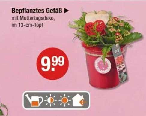 Bepflanztes Gefäß mit Muttertagsdeko, im 13-cm-Topf