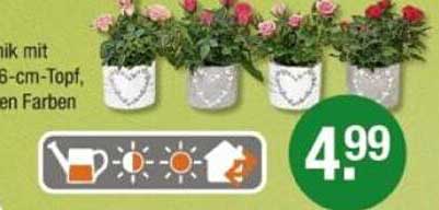 Blumenpflanzer mit 16-cm-Topf in verschiedenen Farben