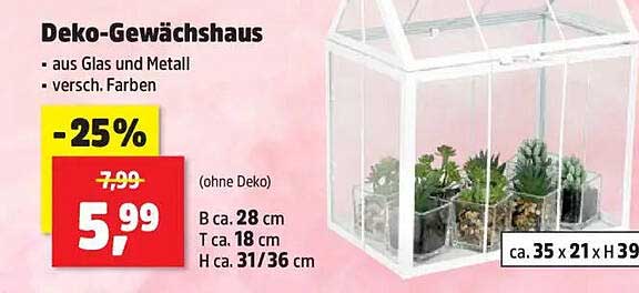 Deko-Gewächshaus aus Glas und Metall