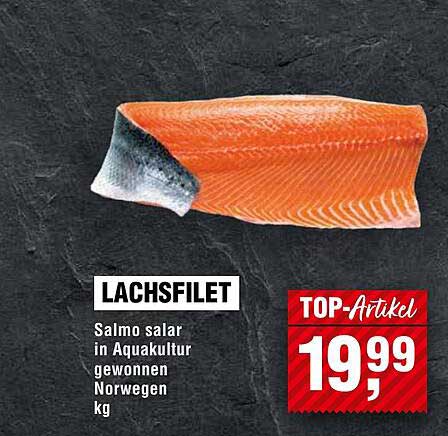 Lachsfilet Salmo salar in Aquakultur gewonnen aus Norwegen