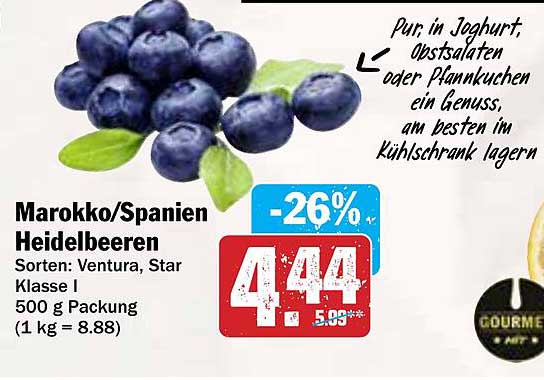 Marokko/Spanien Heidelbeeren, 500 g Packung