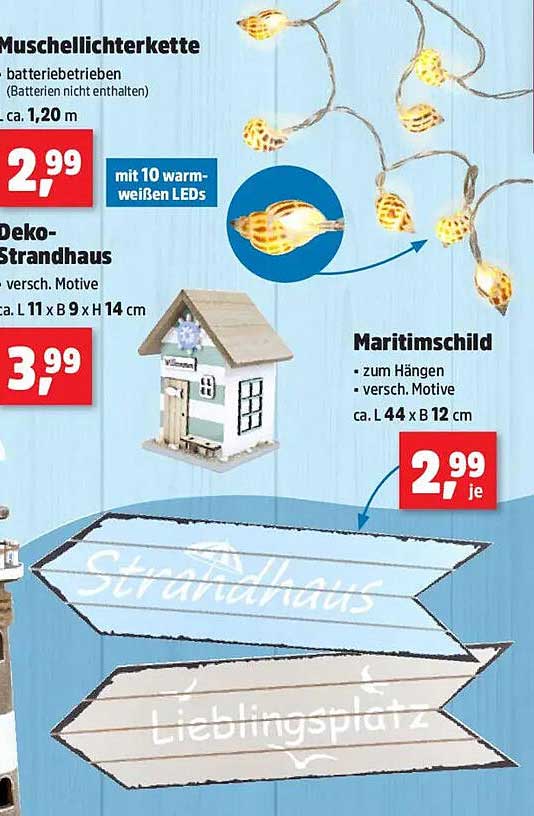 Muschellichterkette - Batteriebetrieben mit 10 warm-weißen LEDs