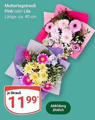 Muttertagstrauß Pink oder Lila – Länge: ca. 40 cm