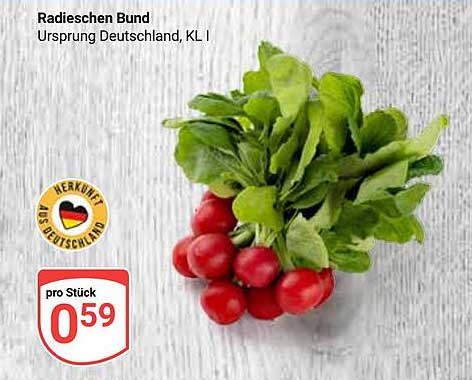 Radieschen Bund - Ursprung Deutschland, KL I