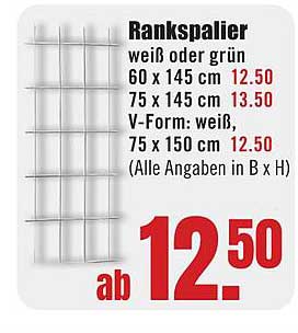 Rankspalier weiß oder grün