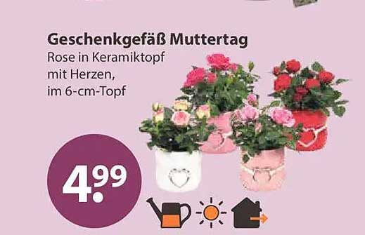 Geschenkgefäß Muttertag