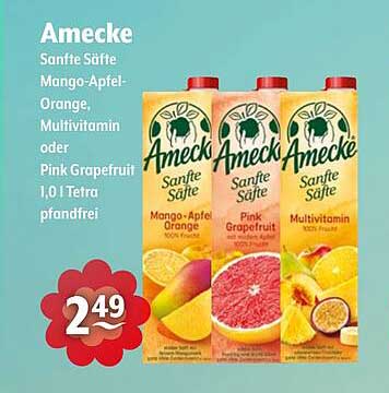 Amecke Sanfte Säfte 1,0 l Tetra, pfandfrei