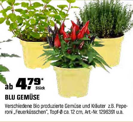 BLU GEMÜSE – Bio Gemüse und Kräuter für Ihren Garten
