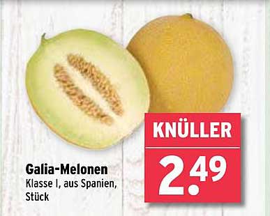 Galia-Melonen Klasse I, aus Spanien, Stück