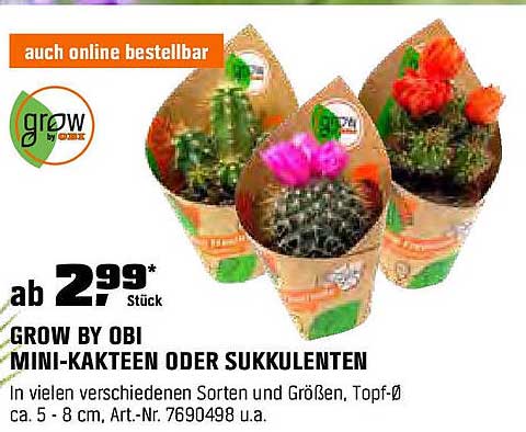 GROW BY OBI Mini-Kaktus oder Sukkulente