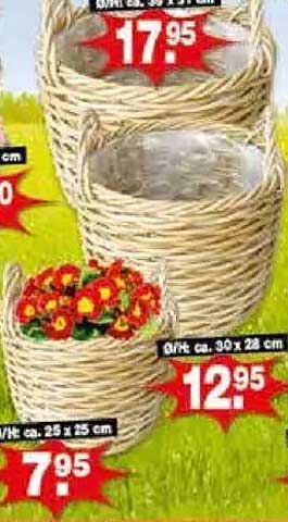 Korbset aus Naturmaterialien - Perfekt für jeden Anlass