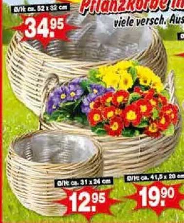 Pflanzkörbe mit vielen verschiedenen Ausführungen