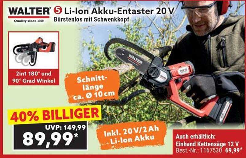 WALTER 5 Li-Ion Akku-Entaster 20 V - Bürstenlos mit Schwenkkopf