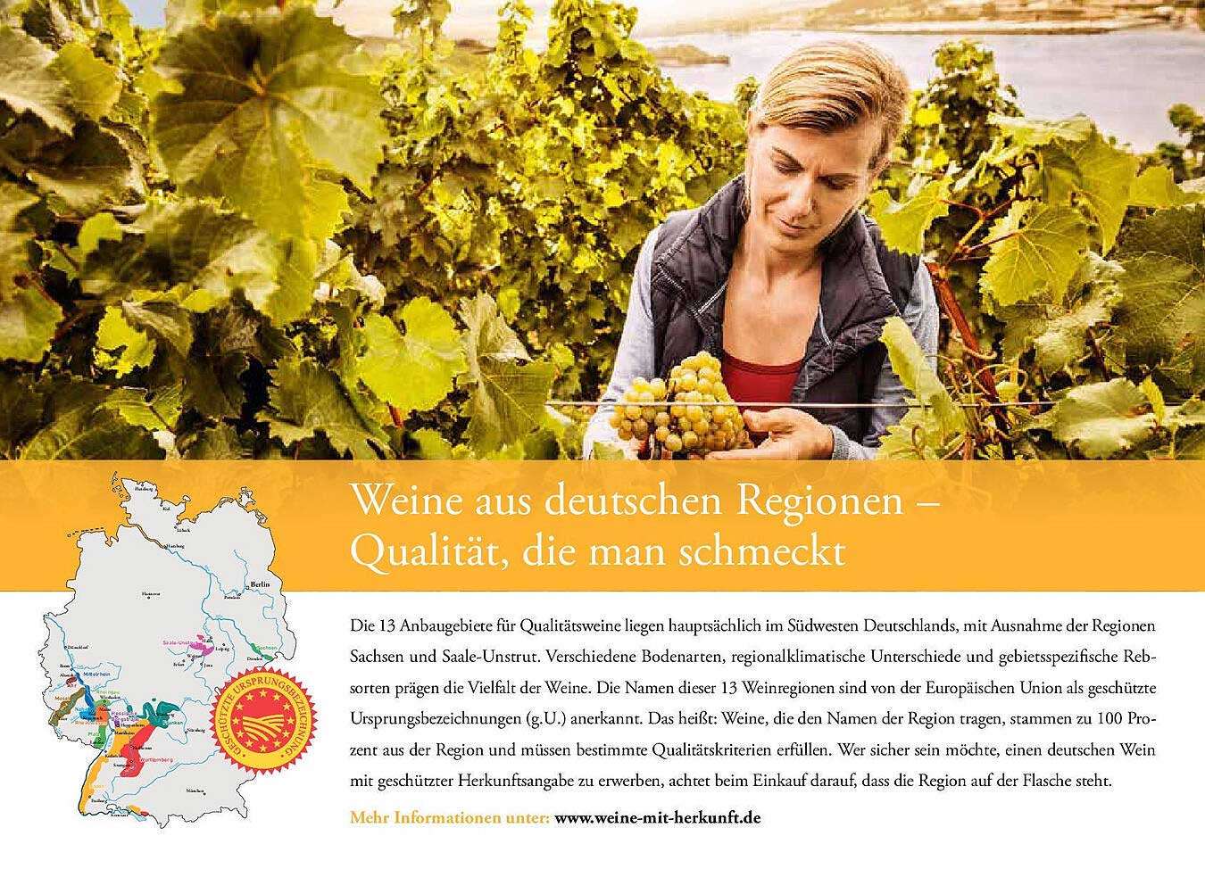 Weine aus deutschen Regionen – Qualität, die man schmeckt