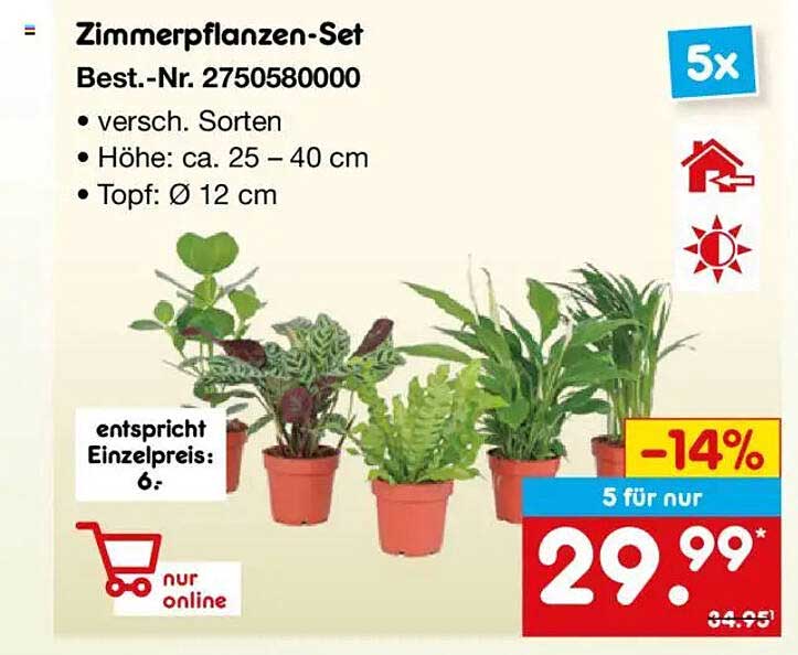 Zimmerpflanzen-Set - 5 Pflanzen für nur 29,99 €