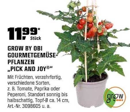 GROW BY OBI GOURMETGEMÜSE-PFLANZEN „PICK AND JOY®“