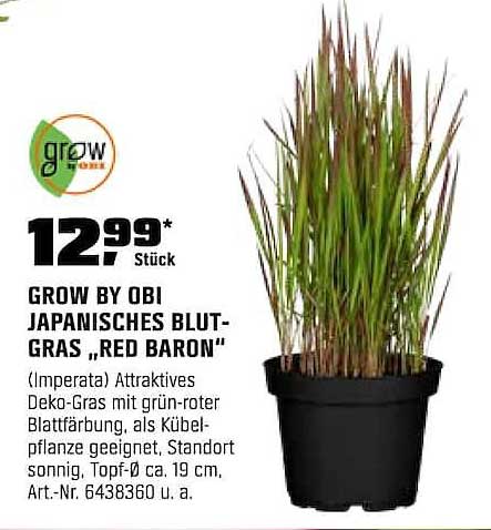 GROW BY OBI JAPANISCHES BLUT-GRAS „RED BARON“