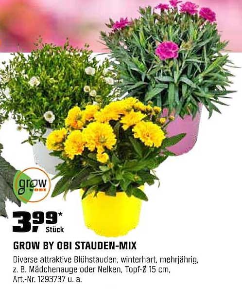 GROW BY OBI STAUDEN-MIX