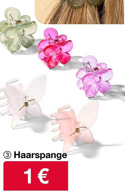 Haarspangen im praktischen Set