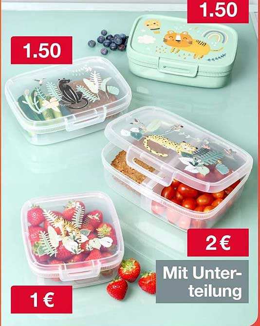 Lunchbox Set mit praktischen Funktionen und tollen Designs