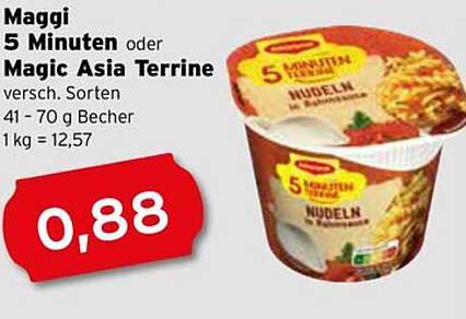 Maggi 5 Minuten oder Magic Asia Terrine - verschiedene Sorten