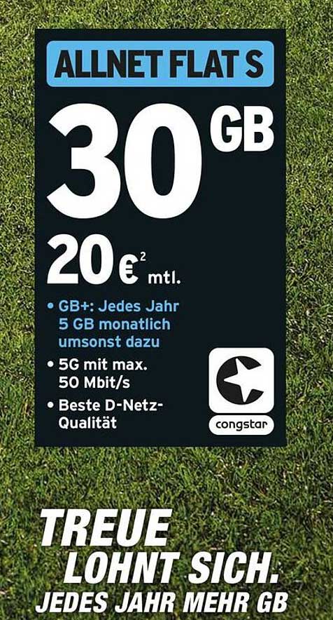 ALLNET FLAT S 30 GB