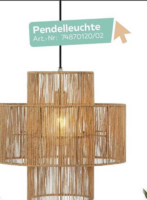 Pendelleuchte Art.-Nr: 74870120/02