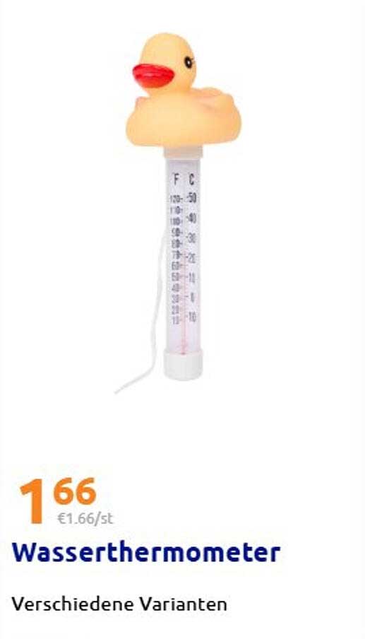 Wasserthermometer