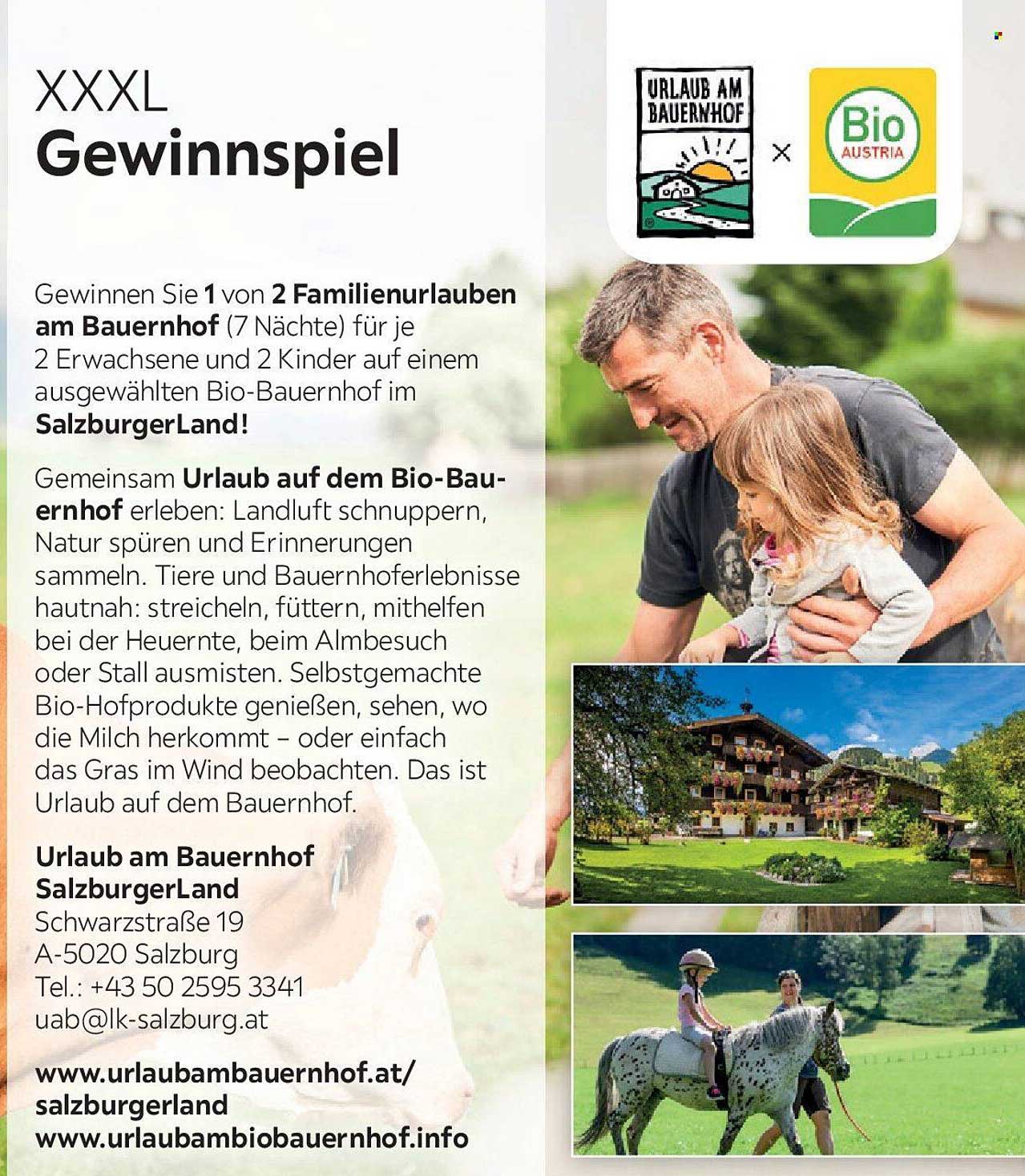 XXXL Gewinnspiel