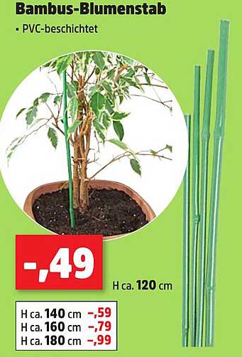 Bambus-Blumenstab - PVC-beschichtet
