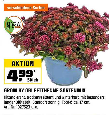 GROW BY OBI FETTHENNE SORTENMIX