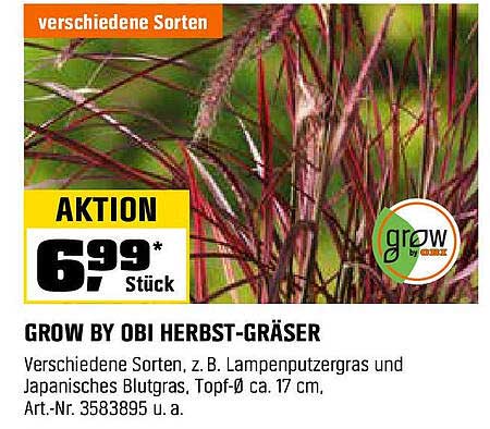 GROW by OBI Herbst-Gräser