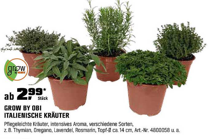 Grow by OBI Italienische Kräuter