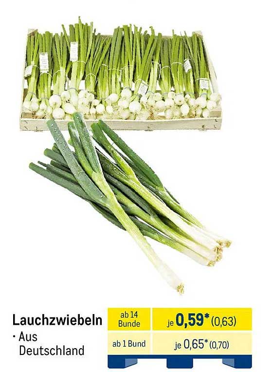 Lauchzwiebeln aus Deutschland