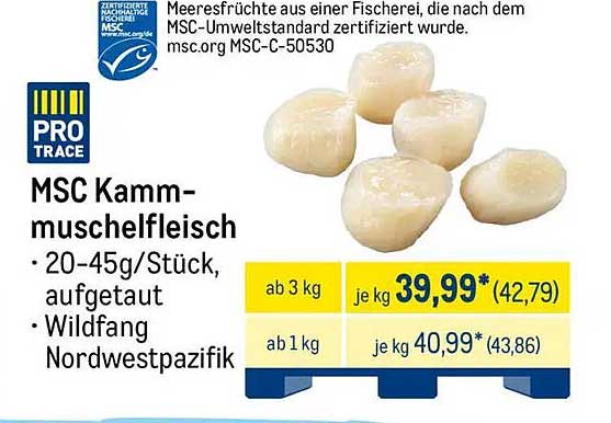 MSC Kammmuschel­fleisch 20-45g/Stück, aufgetaut, Wildfang Nordwestpazifik